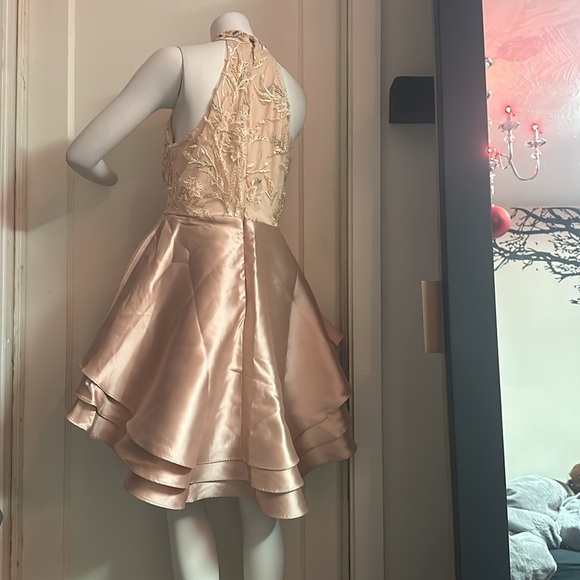 NWT Le Chateau high low fit flare blush pink embroidered mesh satin skater dress - Picture 5 of 7